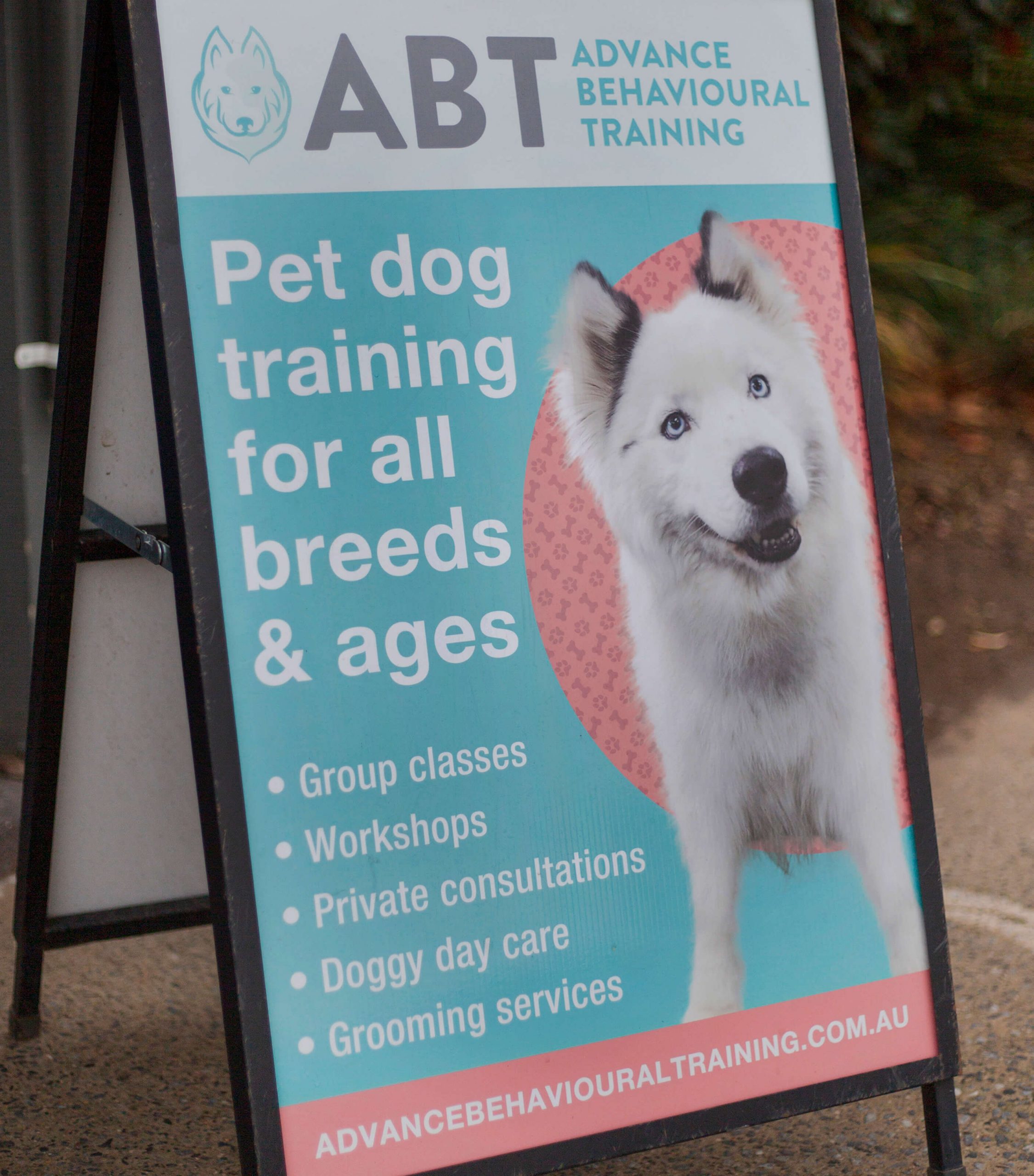 Online dog training courses sign